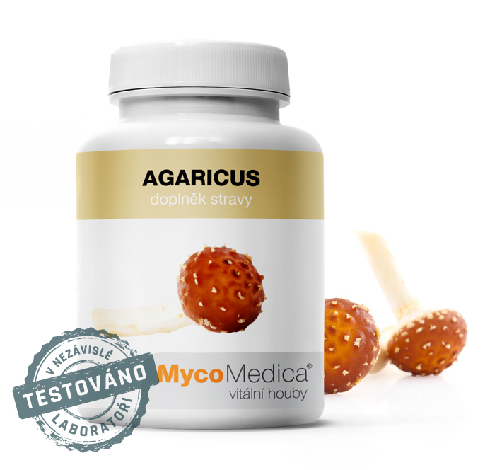 Agaricus – Žampion mandlový houba pro váš imunitní systém