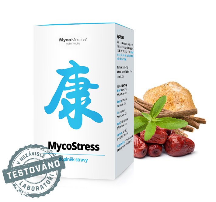 MycoStress – bylinná podpora nejen pro stres v práci