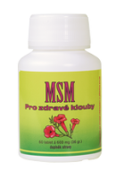 Bylinky pro klouby – MSM tablety – 18 Kč/den